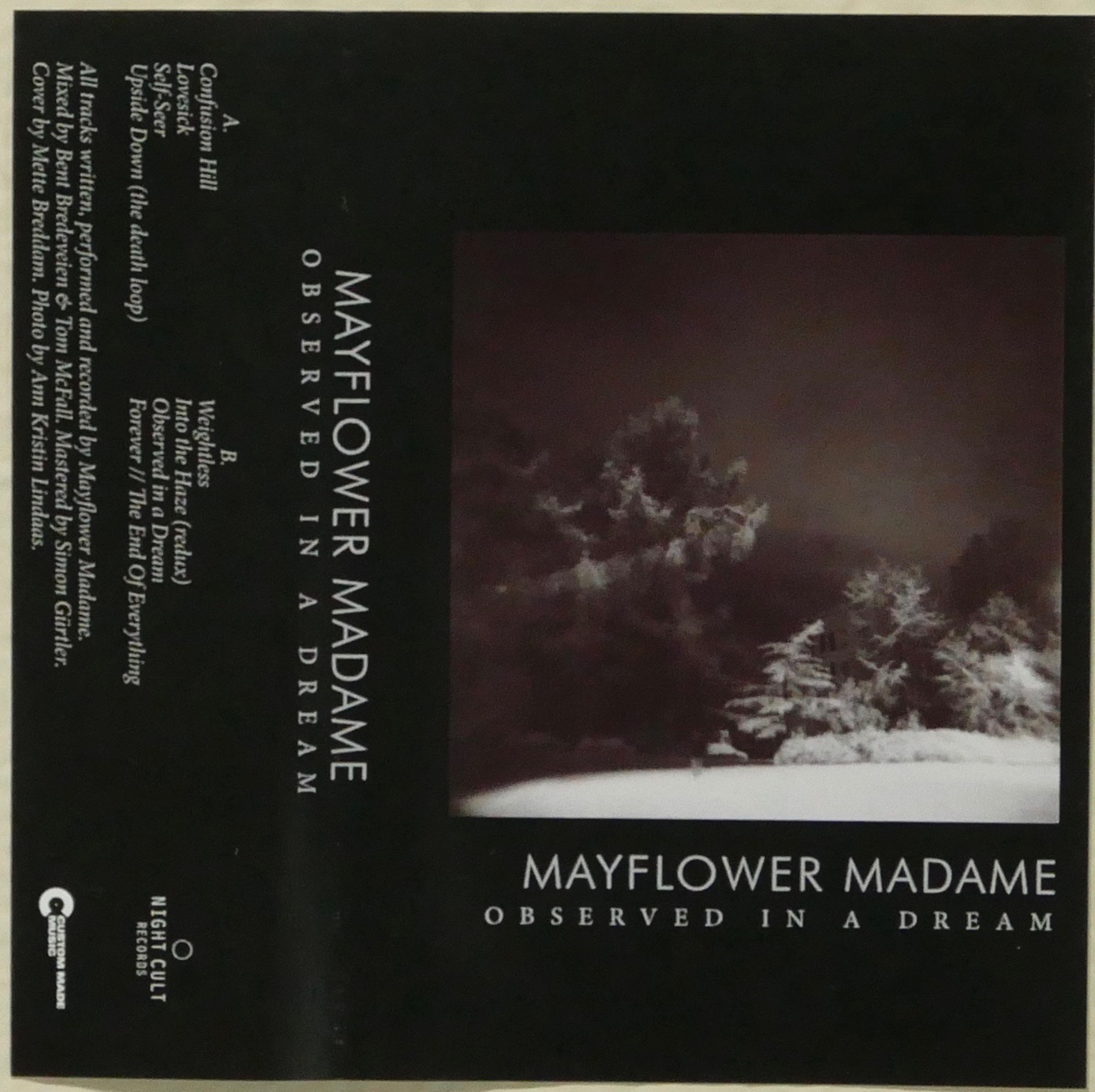 Mayflower Dreams
